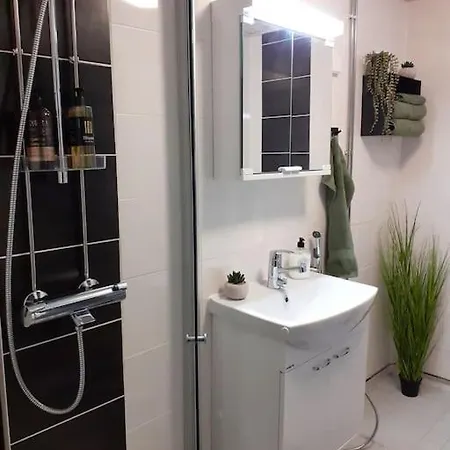 Rt Asunto, Sauna, Terassi Ja Autokatos Apartment *