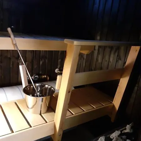 Rt Asunto, Sauna, Terassi Ja Autokatos