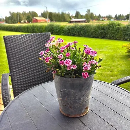 Rt Asunto, Sauna, Terassi Ja Autokatos Апартаменты *