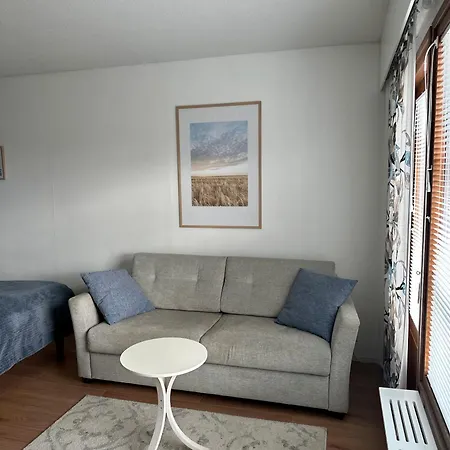 Rt Asunto, Sauna, Terassi Ja Autokatos