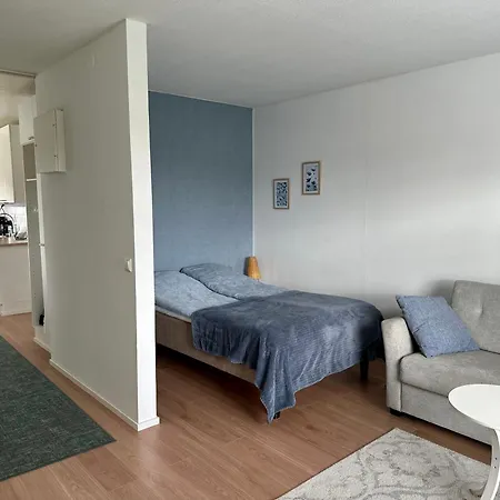 Rt Asunto, Sauna, Terassi Ja Autokatos * Jalasjärvi