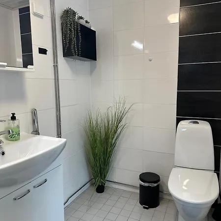 Rt Asunto, Sauna, Terassi Ja Autokatos