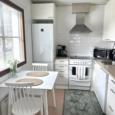 Rt Asunto, Sauna, Terassi Ja Autokatos Apartman