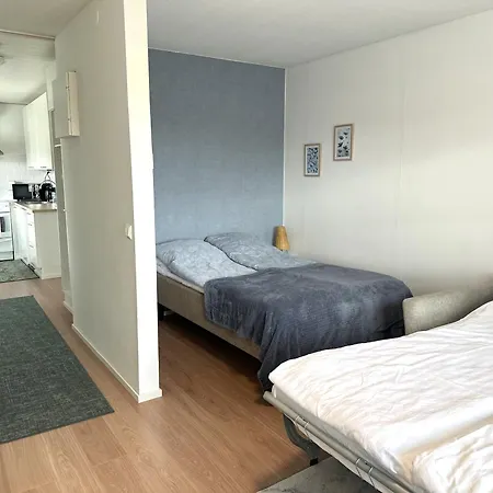 Rt Asunto, Sauna, Terassi Ja Autokatos Apartman *