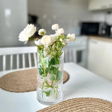 Rt Asunto, Sauna, Terassi Ja Autokatos Jalasjärvi