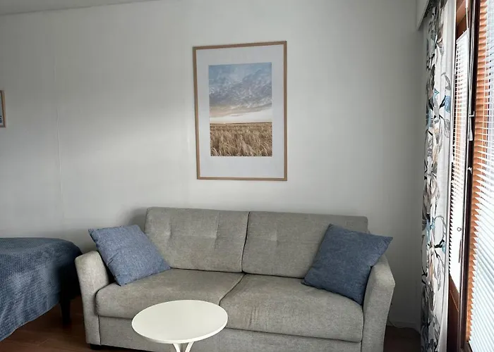 Rt Asunto, Sauna, Terassi Ja Autokatos