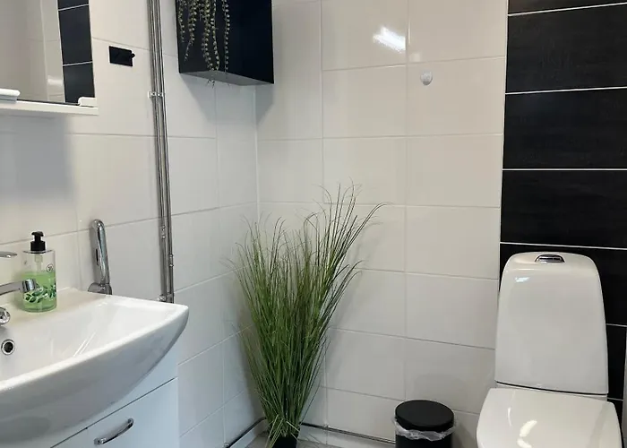 Rt Asunto, Sauna, Terassi Ja Autokatos