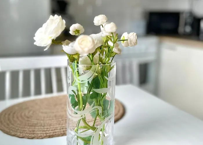 Rt Asunto, Sauna, Terassi Ja Autokatos Jalasjärvi